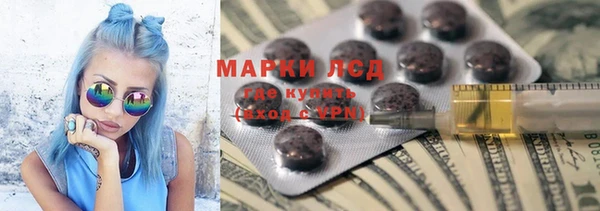 крисы Абаза