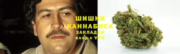 стаф Магас