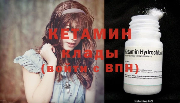 стаф Магас