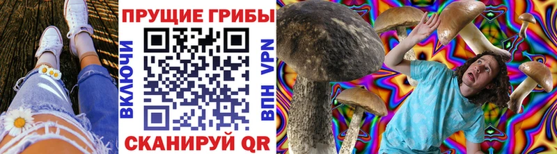 Галлюциногенные грибы прущие грибы  купить  сайты  Электросталь 